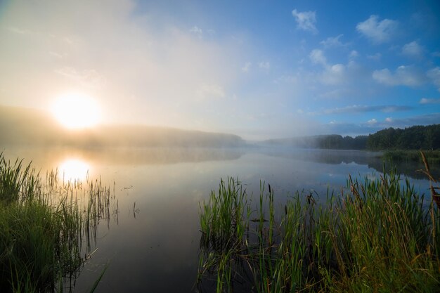 Lago nebbioso all'alba estiva con erba alta in primo piano con messa a fuoco selettiva