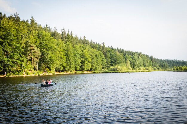 lago nel mezzo della foresta