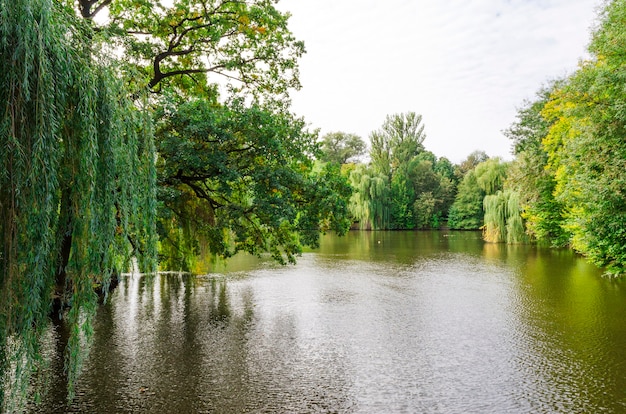 Lago nel parco con alberi lungo la riva