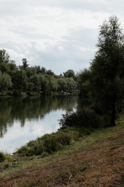 Lago nel parco in estate