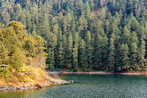 Lago nella foresta con il giorno nuvoloso delle montagne