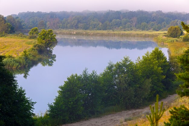 Lago nella foresta con nebbia all'alba.