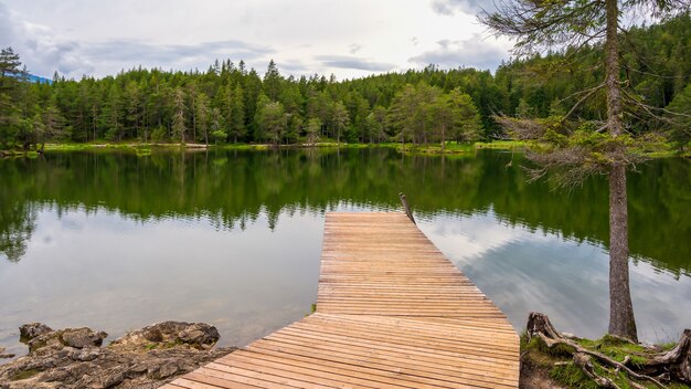 Lago nella foresta Moserer See Austria