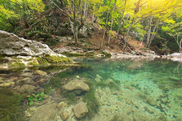 Lago nella foresta