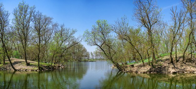 Lago nella riserva Askania-Nova in Ucraina