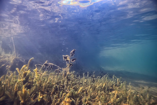 lago paesaggio subacqueo astratto / acqua trasparente blu, eco protezione della natura subacquea