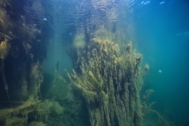 lago paesaggio subacqueo astratto / acqua trasparente blu, eco protezione della natura subacquea