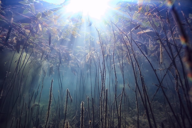 lago paesaggio subacqueo astratto / acqua trasparente blu, eco protezione della natura subacquea