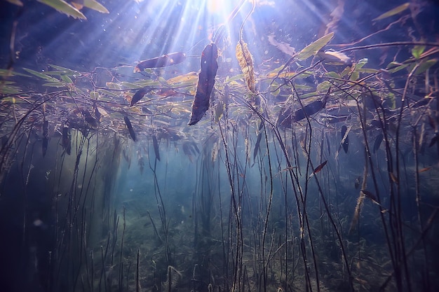 lago paesaggio subacqueo astratto / acqua trasparente blu, eco protezione della natura subacquea