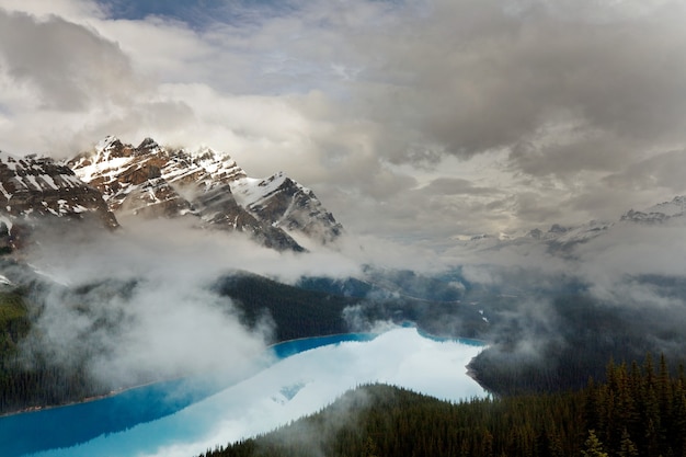 Lago Peyto nel Parco Nazionale di Banff, Canada