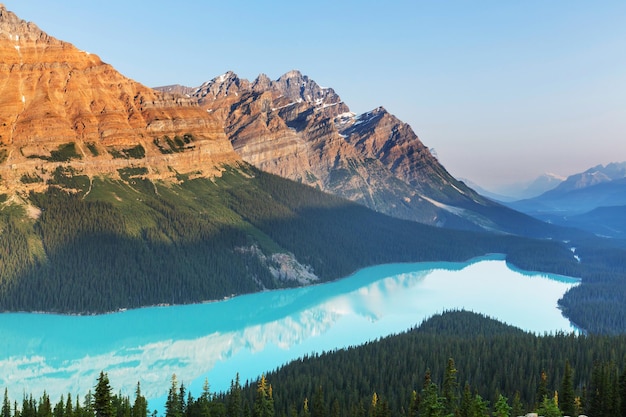 Lago Peyto