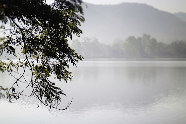 Lago rilassato all'alba