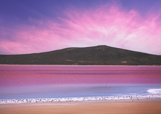 Lago rosa alla luce del tramonto Koyashske Lago Opuk Crimea