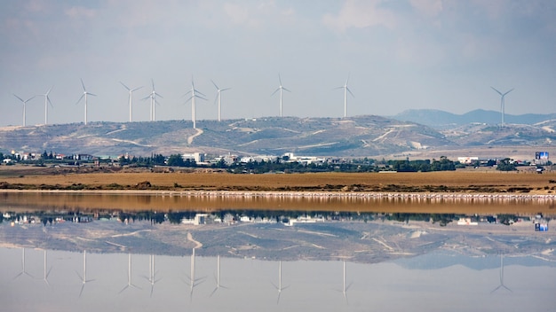 Lago salato di Larnaca con mulini a vento sullo sfondo Cipro