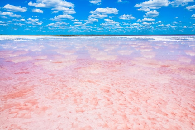 Lago salato rosa e il cielo azzurro con nuvole. Lago salato rosa Sasyk-Sivash in Crimea. Paesaggio estivo.