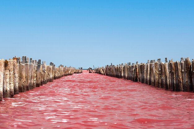 Lago salato rosa esotico e cielo blu con nuvole. Foto di alta qualità