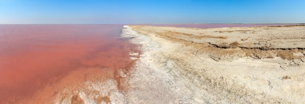 Lago salato rosa Syvash Ucraina