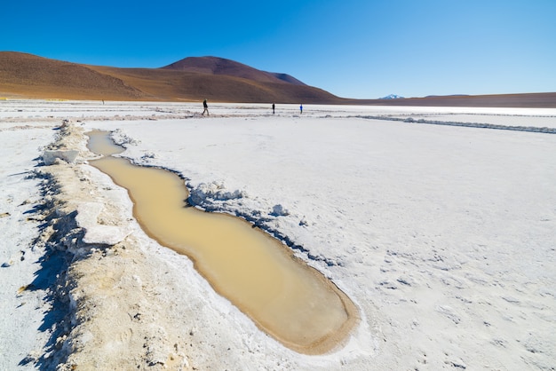 Lago salato sulle Ande