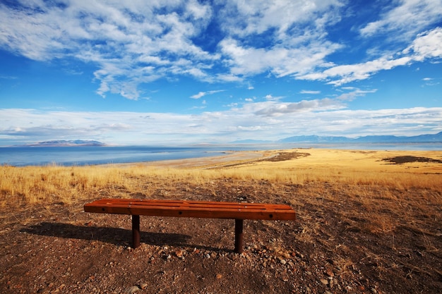 Lago salato