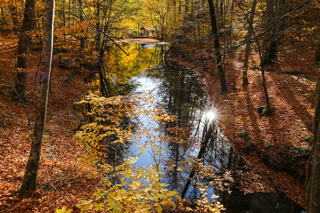 Lago Sazli nel Parco Nazionale Yedigoller Bolu Turchia