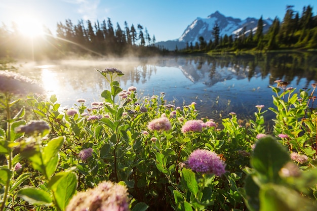 Lago scenico dell'immagine con la riflessione del monte Shuksan a Washington, USA