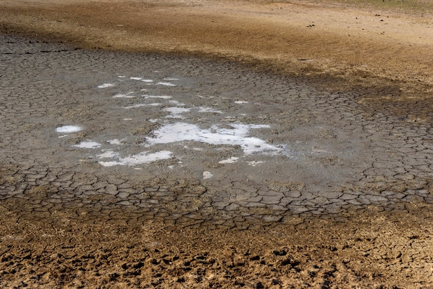 Lago secco e incrinato causato dalla siccità in Paraiba Brasile Cambiamento climatico e crisi idrica