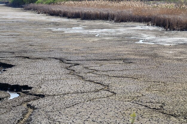 Lago secco, palude e canne secche. Canna secca sopra lo specchio d'acqua. Riflessione del lago nell'acqua. Tempo soleggiato. Cielo blu. Il problema globale della siccità nei corpi idrici