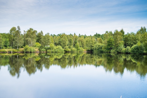 Lago selvaggio nella foresta di estate