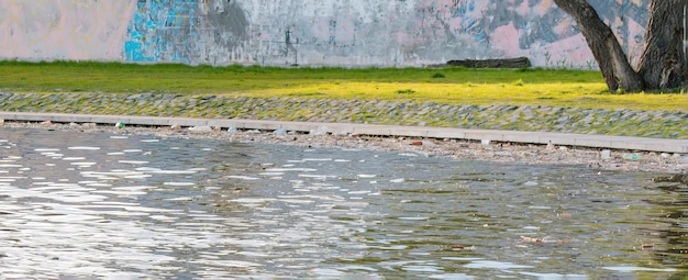 Lago sporco in un parco cittadino con prato vicino Giardino Luogo Città Urbano All'aperto Terra Via Relax Rilassamento Città Campo Foresta Erba Freddo