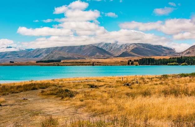 lago tekapo nuova zelanda