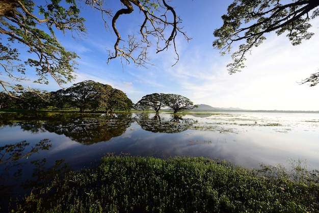 Lago Thissamaharamaya nello Sri Lanka