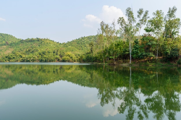 Lago verde con ombra albero