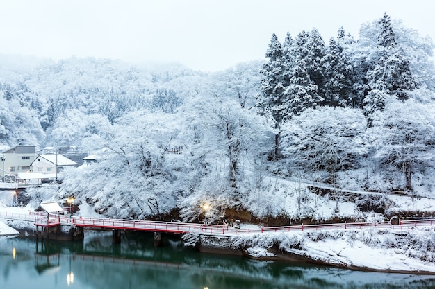 Lago Winter Landcape