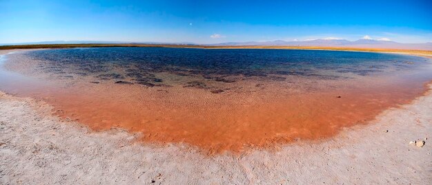 Laguna Cejar Atacama Cile