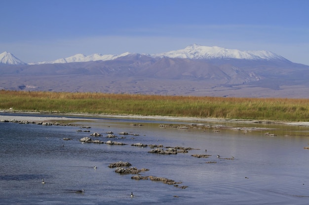 Laguna Cejar Atacama Cile