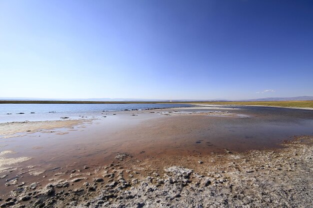 Laguna Cejar Atacama Cile