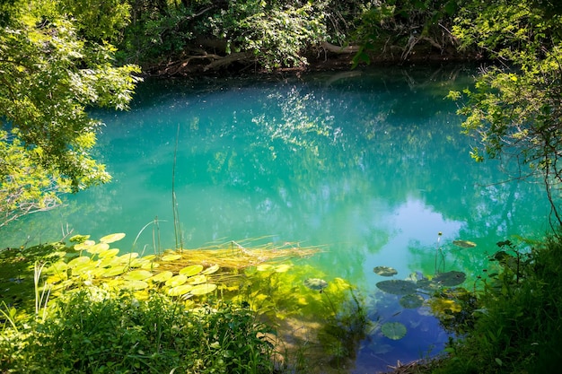 Laguna color smeraldo in una foresta selvaggia e panoramica