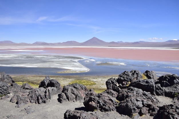 Laguna Colorada sulla Riserva Nazionale Eduardo Avaroa a Uyuni Bolivia a 4300 m sul livello del mare