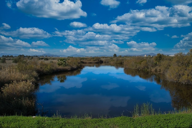 laguna d'anatra a malaga spagna a mezzogiorno