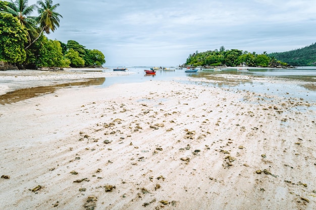 Laguna di Port Glaud al tempo di marea Isola di Mahe Seychelles