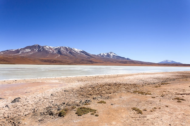 Laguna Hedionda vista Bolivia