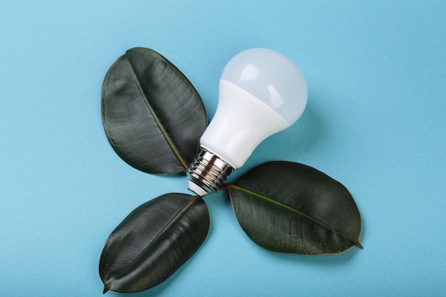 Lampada a LED con foglia verde Concetto di energia ECO Tecnica mista Luogo isolato per didascalia e testo