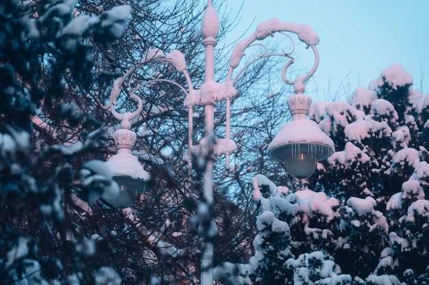 Lampada di strada nella neve