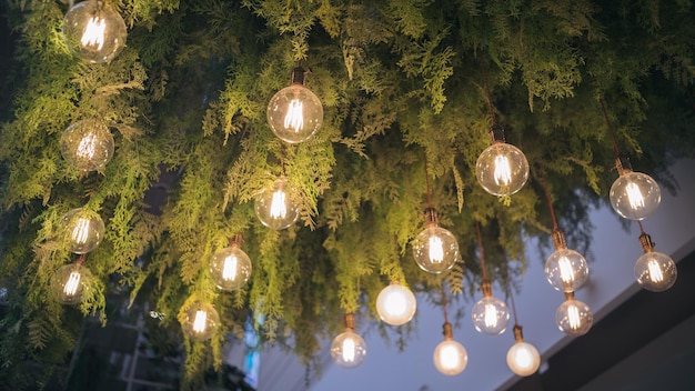 Lampada leggera e design del soffitto della decorazione della pianta appendendo la lampadina luminosa vintage elettrica Interni foglia verde sfondo interno fiore lampadario da giardino in stile naturale nella moderna caffetteria e ristorante