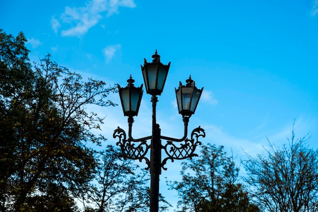 Lampada vintage di strada nel parco autunnale.