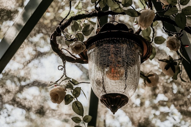 Lampada vintage in un ristorante naturale.