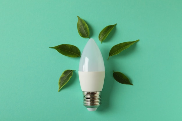 Lampadina a risparmio energetico con foglie su sfondo di menta.