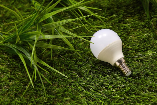 Lampadina a risparmio energetico su erba verde