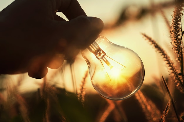 lampadina con sfondo natura tramonto. concetto di energia di potenza