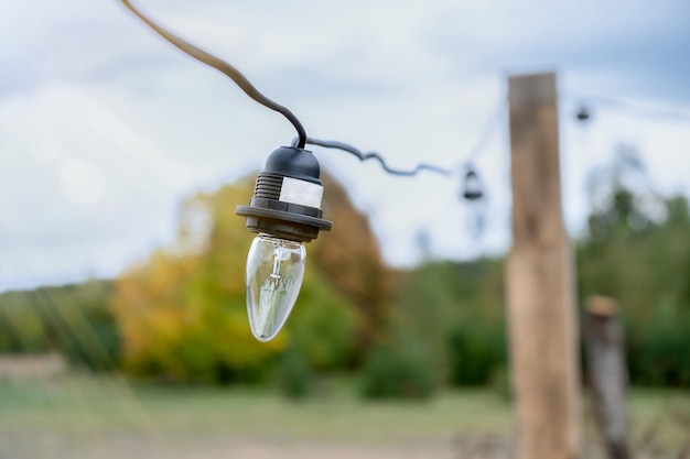 Lampadina contro le icone della natura